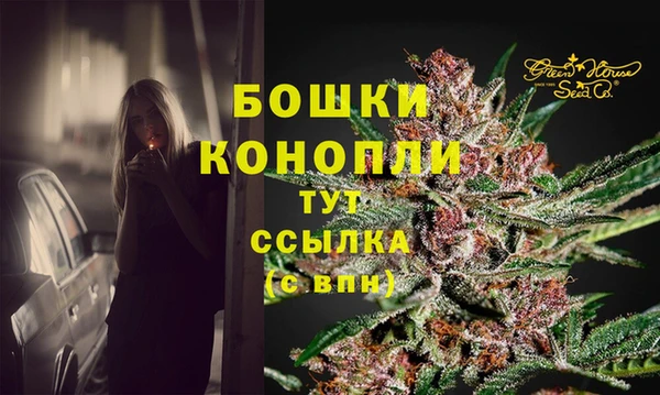 амф Зерноград