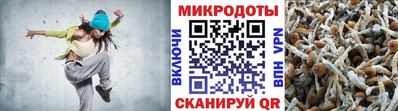 Псилоцибиновые грибы ЛСД  Купить закладки  Наро-Фоминск 
